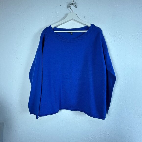 Eileen Fisher Womens Oversized Blue Merino Wool Crew Neck Sweater Large Pullover - Picture 1 of 8